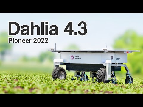 Dahlia 4.3 Pioneer - AgRoboFood 2022